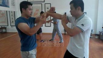 咏春拳图片,传统武术的精髓与风采