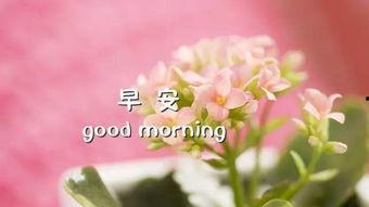 最美的情缘图片