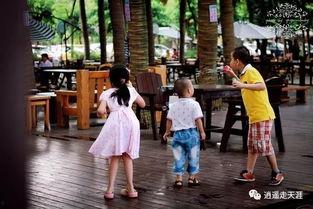 海南本地娱乐,畅游热带海岛，体验独特休闲时光