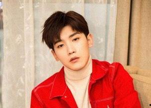 邢昭林 网红,从网红到演员，青春偶像的成长之路