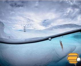 两个世界的图片,两个世界奇妙交融的视觉奇观