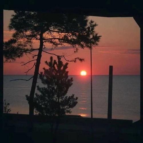 徐可心是什么背景,揭秘神秘企业家背后的传奇故事