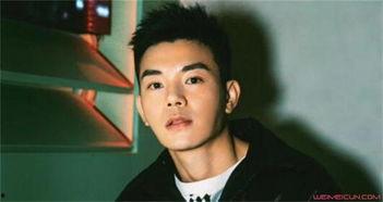 李感个人资料,才华横溢的音乐才子，揭秘他的成长之路与音乐梦想