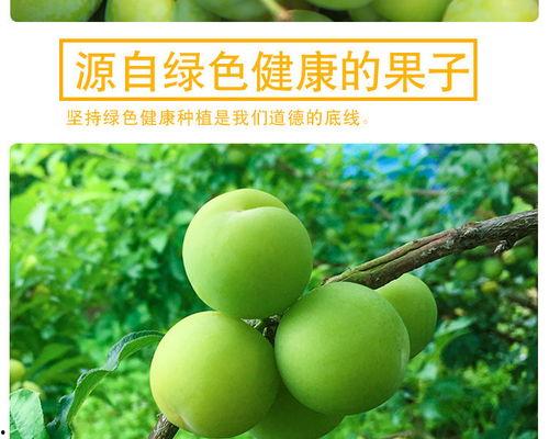 三月李图片,春意盎然的田园画卷